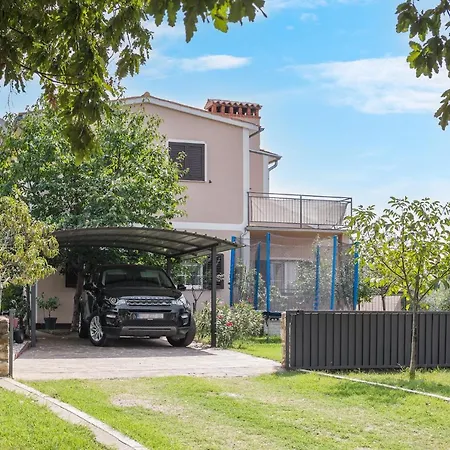 Mario * ポレッチ